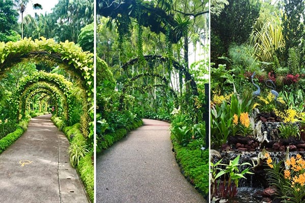 Singapore-Botanic-Garden