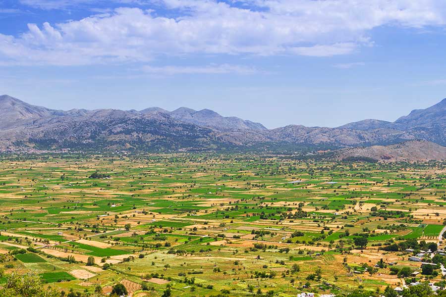 Lassithi-plateauet, Kreta