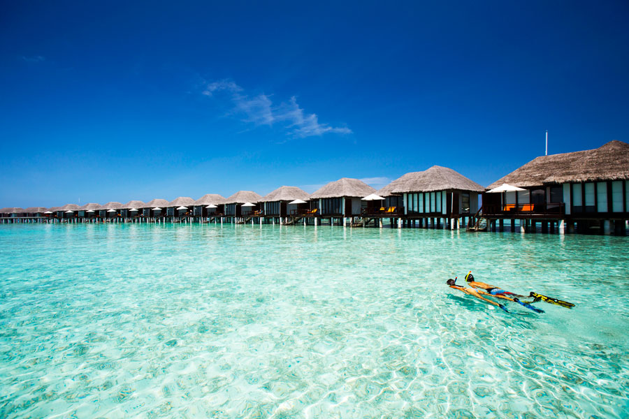 Dykning Maldiverna