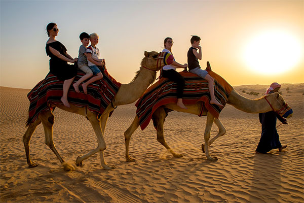 Dubai-camel-safari