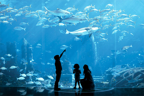 Dubai-indoor-aquarium