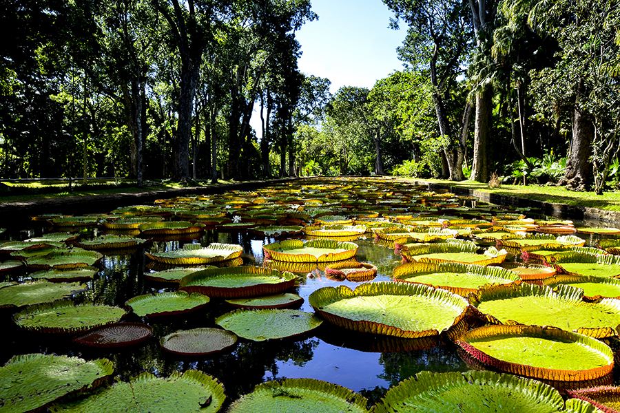 9 naturupplevelser på Mauritius