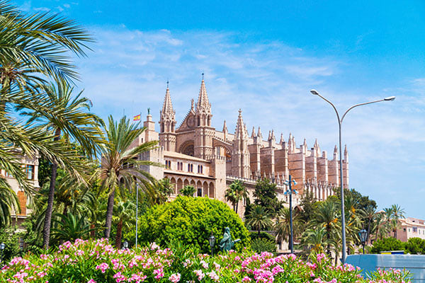 Katedralen i Palma de Mallorca med flotte grønne palmetræer i forgrunden