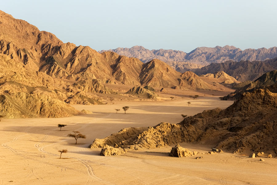 Sinai-ørkenen