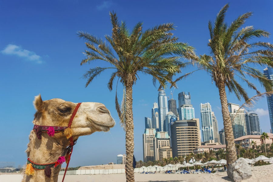 Varför ska man resa till Dubai?