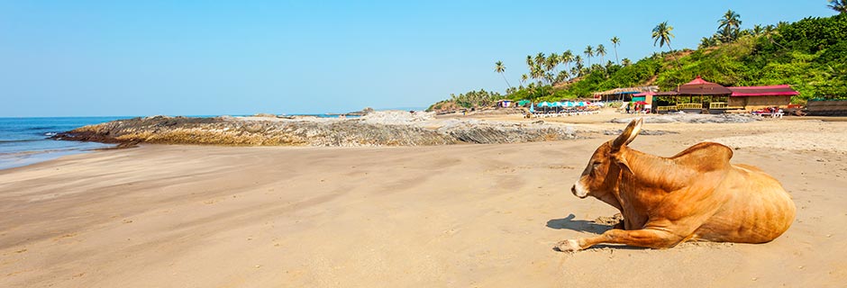 Cola Beach i Goa, Indien.