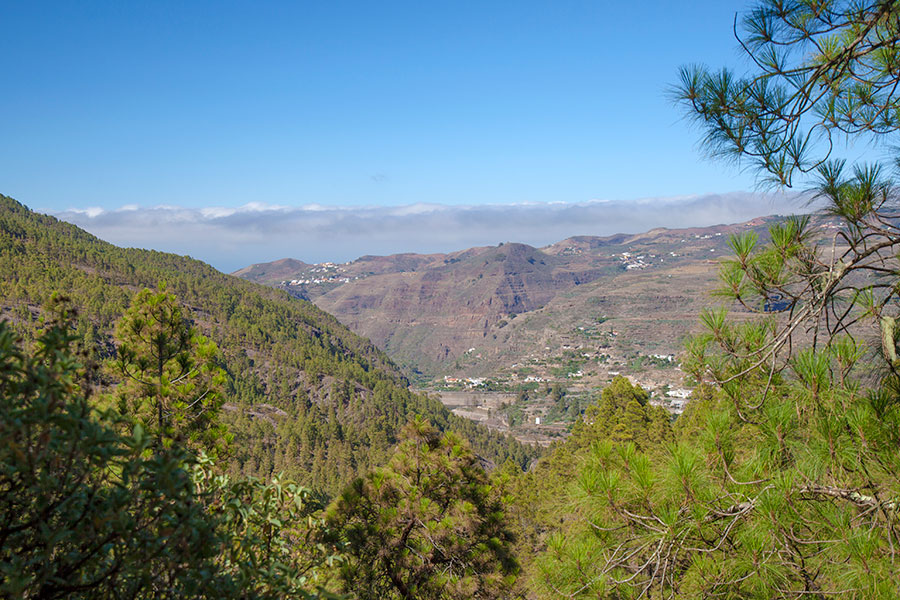 Gran Canarias vulkaner, öknar och storslagna bergsmiljöer