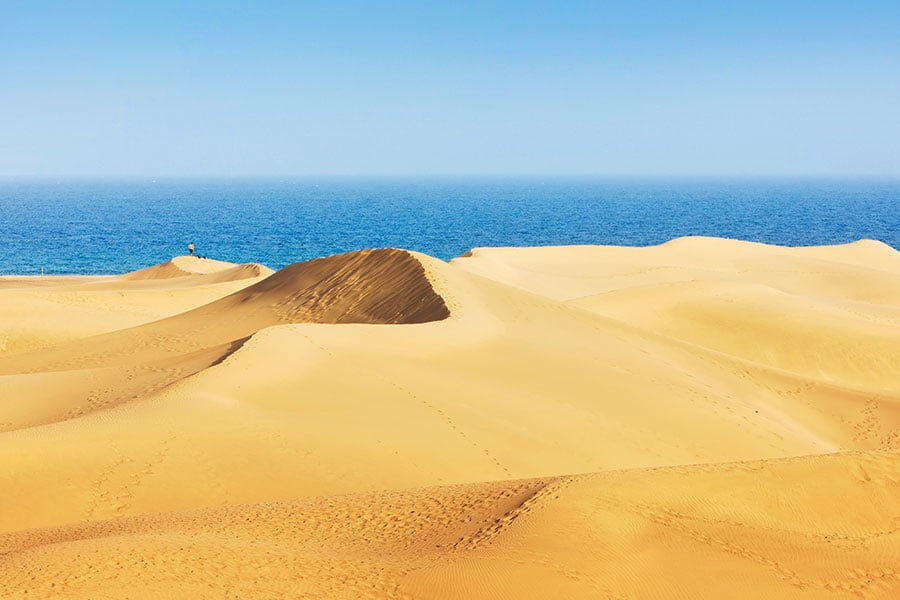 Sanddynerne