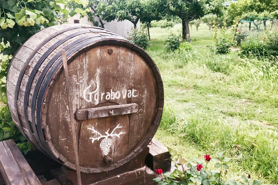 Familien Grabovac vingård i byen Imotski