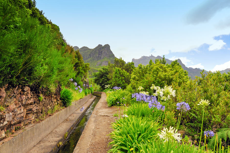 Smukke og frodige omgivelser på Madeira