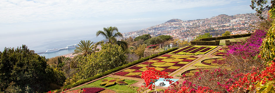 Botaniska trädgården på Madeira
