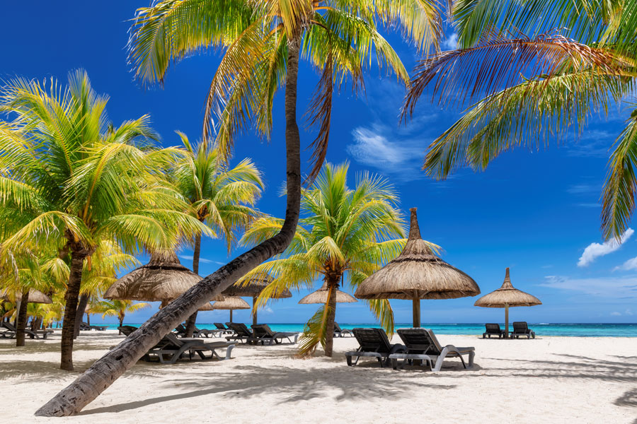 Exotisk strand med palmer på Mauritius