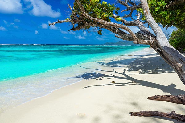 Strand i Seychellerne